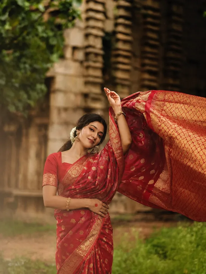 Banarasi bespoke saree